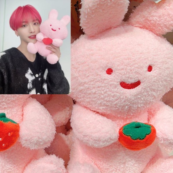画像1: ATEEZ ソンファ君とお揃い ぬいぐるみ うさぎ (1)