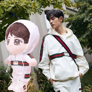 肖戰  ぬいぐるみ ぬい肖戦・王一博におすすめ！20cmぬいぐるみ衣装 ※7種類より