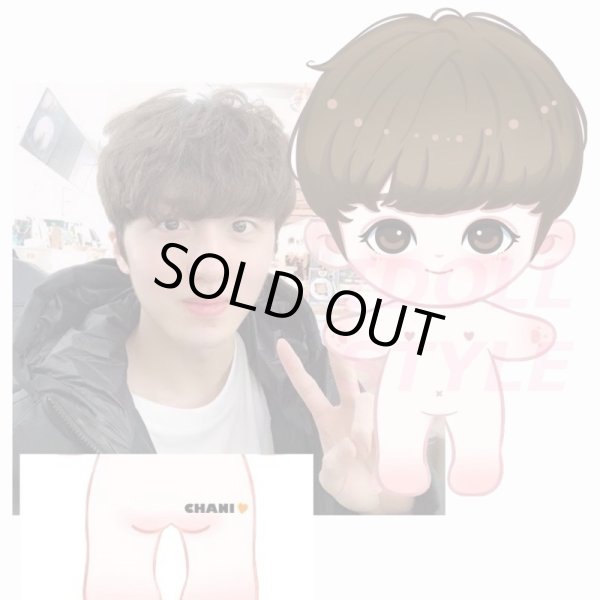 画像2: 【20cmDoll】【SF9】 チャニ ぬいぐるみ CHANI 찬희 (2)