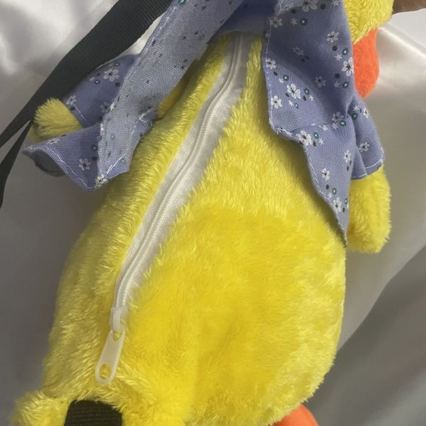 画像4: ASTRO MJとお揃い！アヒルちゃんBag (4)