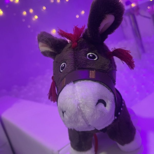 画像2: 20cmdoll 陳情令ぬいぐるみ りんごちゃん (2)