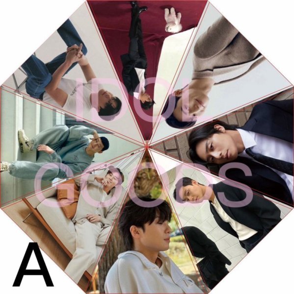 画像2: 折りたたみ傘/パクソジュン ParkSeojun (2)