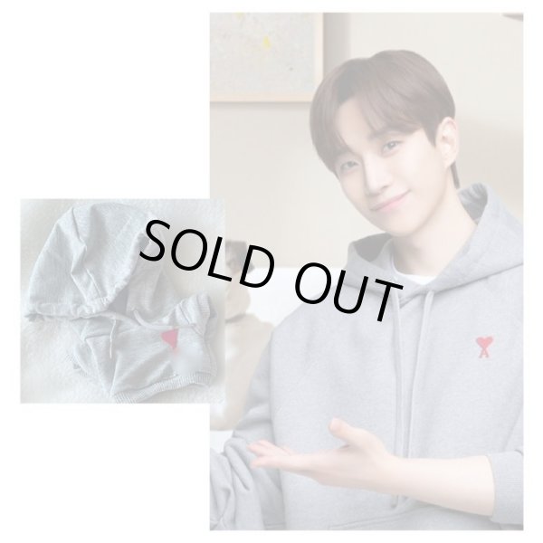 画像1: 10/15/20/イジュノ着用風グレーフーディ (1)