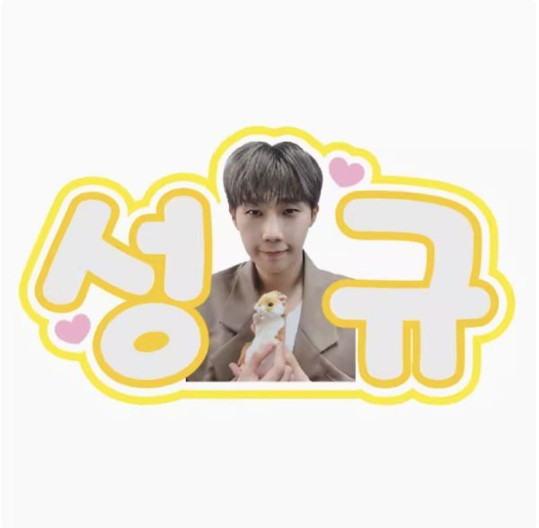 画像3: INFINITE ペンライト ネームタグ 002 (3)