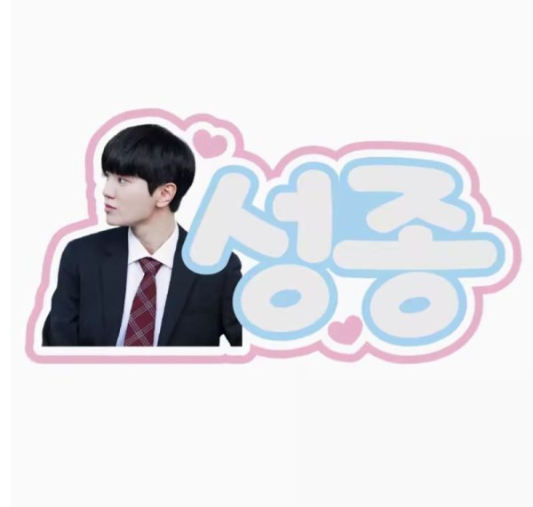 画像8: INFINITE ペンライト ネームタグ 002 (8)