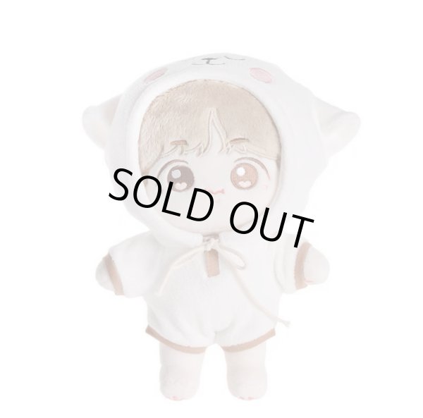 画像3: 半袖着ぐるみ付BTSぬいぐるみ 20cm doll (3)