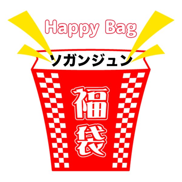 画像1: 福袋/ソガンジュン(店頭受取できません) (1)