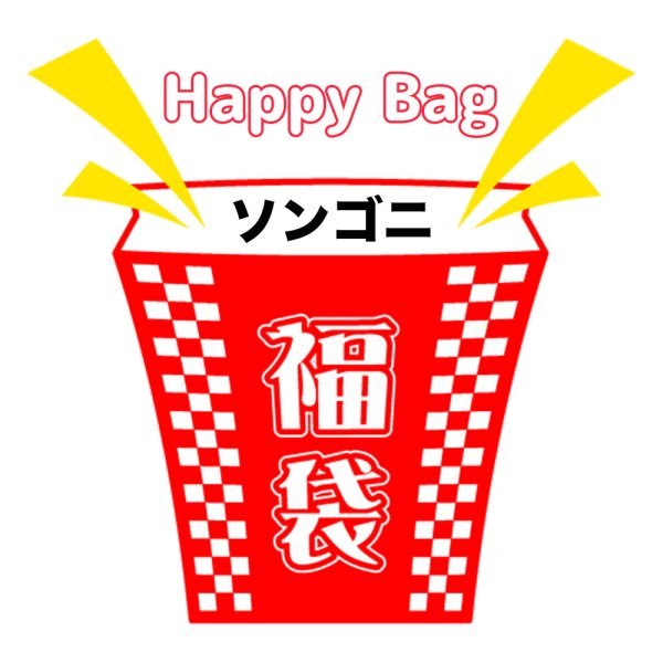 画像1: 福袋/ソンゴニ(店頭受取できません) (1)
