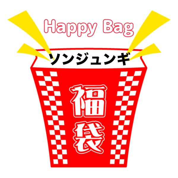 画像1: 福袋/ソンジュンギ(店頭受取できません) (1)