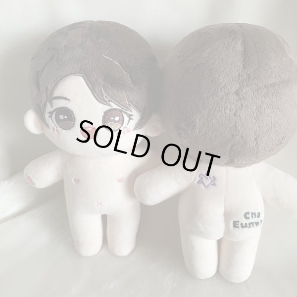 画像1: 【20cmdoll】ASTRO チャウヌ CHAEUNWOO ぬいぐるみ (1)
