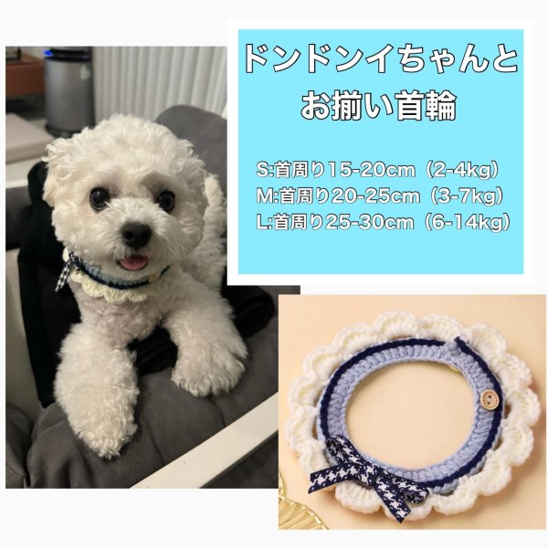 画像1: ドンドンイとお揃い首輪 チャウヌ 011 (1)