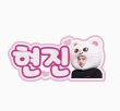 画像1: StrayKids ペンライト ネームタグ ヒョンジン (1)