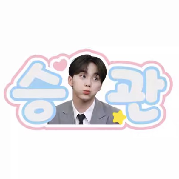 画像1: SEVENTEEN ペンライト ネームタグ スングァン 021 (1)