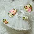 画像1: 15-17 / ドレス 005 (1)