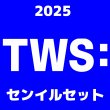 画像1: 2025  TWS  センイル/デビュー記念/来日セット クレカ風カード (1)
