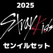 画像1: 2025 Stray Kids  センイル/デビュー記念/来日セット クレカ風カード (1)