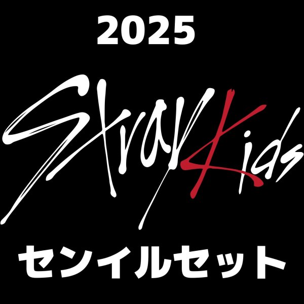 画像1: 2025 Stray Kids  センイル/デビュー記念/来日セット クレカ風カード (1)