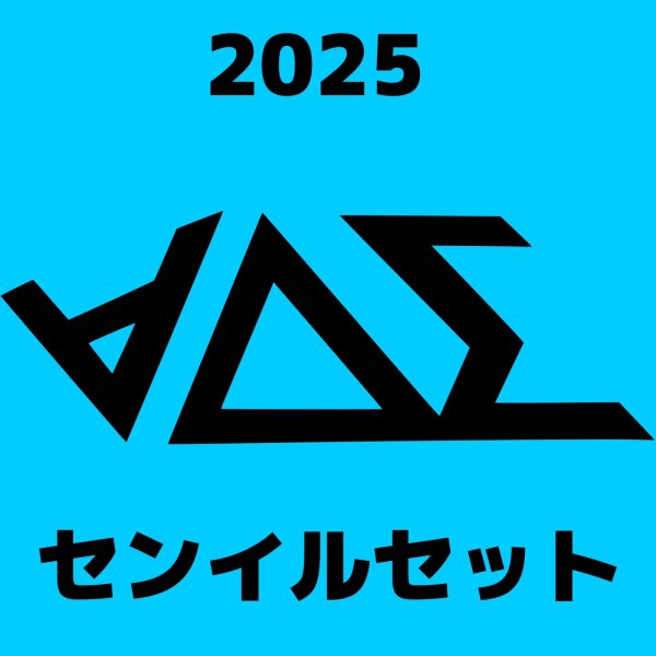 画像1: 2025 High Light センイル/デビュー記念/来日セット クレカ風カード (1)