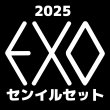 画像1: 2025 EXOセンイル/デビュー記念/来日セット クレカ風カード (1)