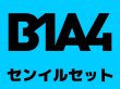 画像1: B1A4 センイル/デビュー記念/来日セット クレカ風カード (1)
