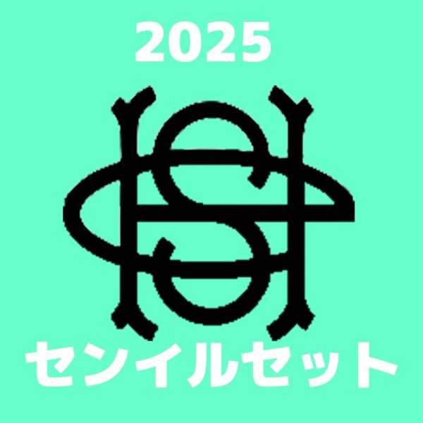 画像1: 2025 SHINee  センイル/デビュー記念/来日セット クレカ風カード (1)