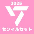 画像1: 2025 SEVENTEEN  センイル/デビュー記念/来日セット クレカ風カード (1)
