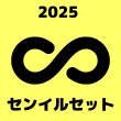 画像1: 2025 INFINITEセンイル/デビュー記念/来日セット クレカ風カード (1)