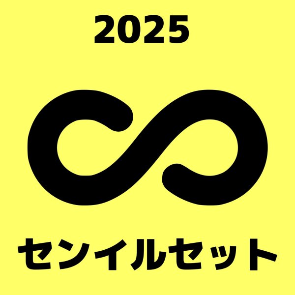 画像1: 2025 INFINITEセンイル/デビュー記念/来日セット クレカ風カード (1)