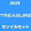 画像1: 2025 TREASURE  センイル/デビュー記念/来日セット クレカ風カード (1)