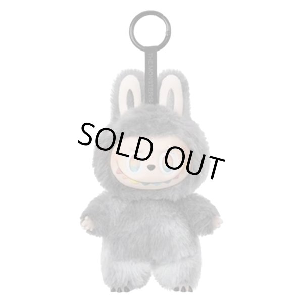 画像1: Labubu シークレット ぬいぐるみ レア価格での販売となります 047 (1)