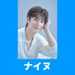 画像1: 2025 ナイヌ センイル/デビュー記念/来日セット クレカ風カード (1)