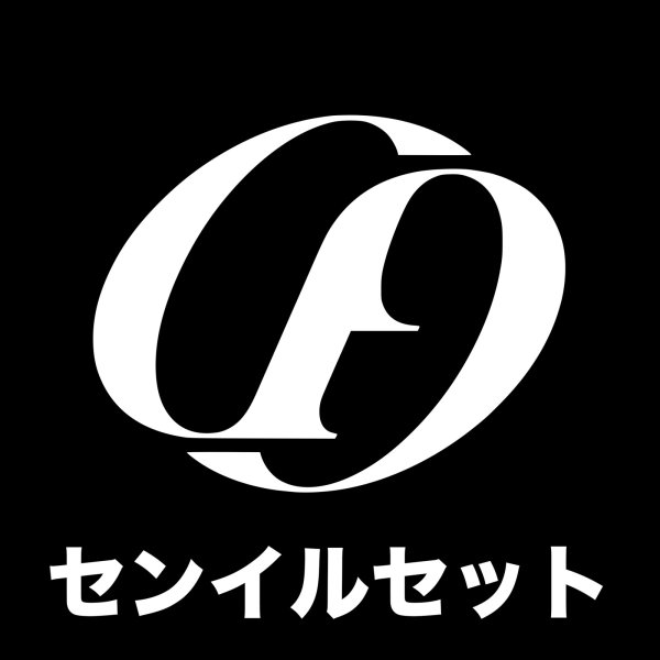 画像1: 2025 SF9  センイル/デビュー記念/来日セット クレカ風カード (1)