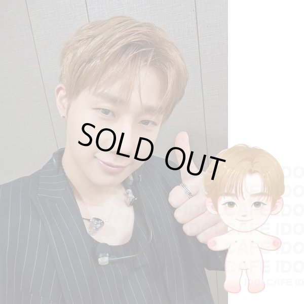 画像1: 【15cm Doll】INFINITE ソンギュ SungKyu 応援ぬいぐるみ (1)