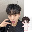 画像1: 【15cm Doll】INFINITE ドンウ DongWoo 応援ぬいぐるみ (1)