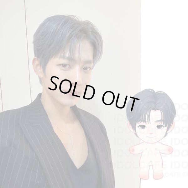 画像1: 【15cm Doll】INFINITE ソンヨル SungYeol 応援ぬいぐるみ (1)