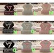 画像3: SEVENTEEN ペンライトスタンド SVT (3)