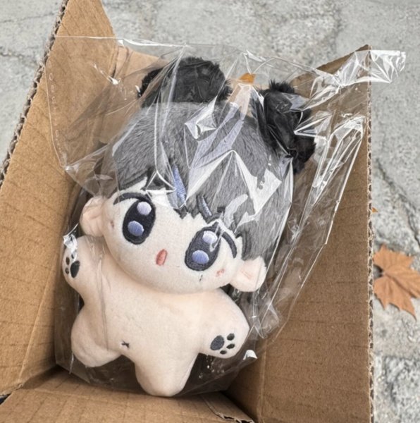 画像1: 【10cmdoll】 SEVENTEEN ドギョム ぬいぐるみ 016 DK (1)