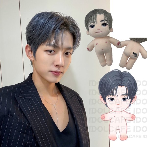 画像1: 【15cm Doll】INFINITE ソンヨル SungYeol 応援ぬいぐるみ (1)