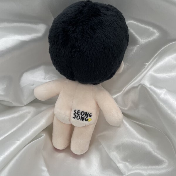 画像4: 【15cm Doll】INFINITE ソンジョン SEONGJONG  応援ぬいぐるみ PIRITZ TOKKING (4)