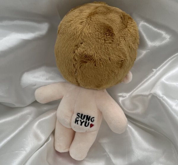 画像3: 【15cm Doll】INFINITE ソンギュ SungKyu 応援ぬいぐるみ (3)