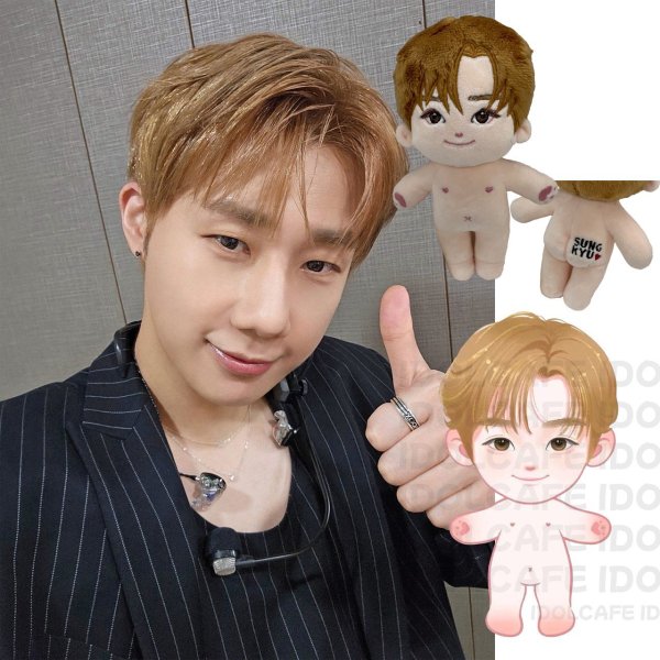 画像1: 【15cm Doll】INFINITE ソンギュ SungKyu 応援ぬいぐるみ (1)