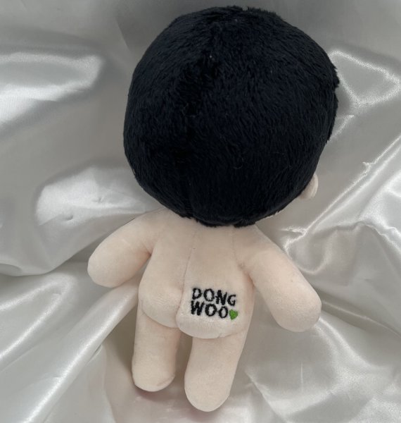 画像4: 【15cm Doll】INFINITE ドンウ DongWoo 応援ぬいぐるみ PIRITZ DDODDO (4)
