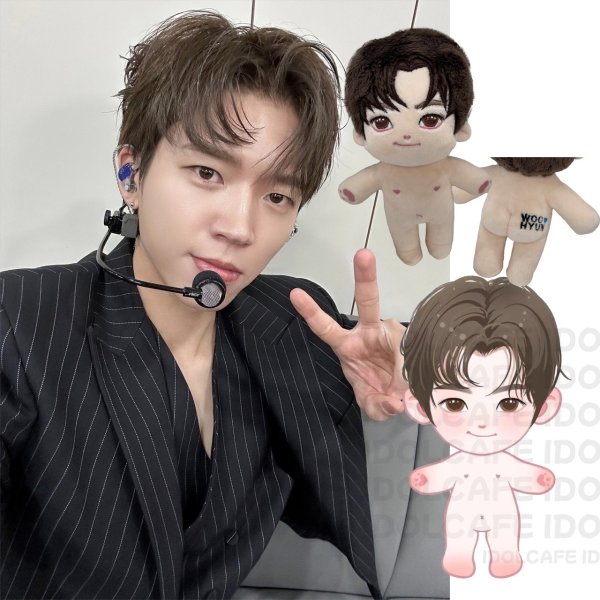 画像1: 【15cm Doll】INFINITE ウヒョン WooHyun 応援ぬいぐるみ (1)