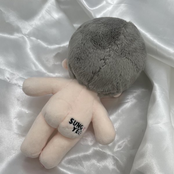 画像4: 【15cm Doll】INFINITE ソンヨル SungYeol 応援ぬいぐるみ RIRITZ SARANG-I (4)