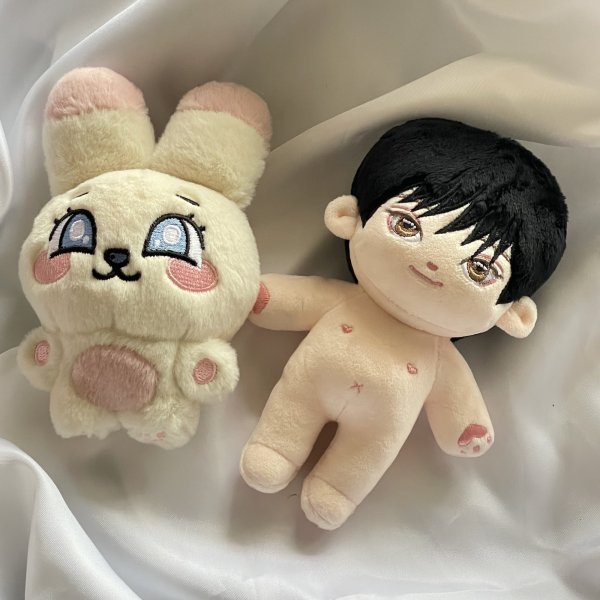 画像1: 【15cm Doll】INFINITE ソンジョン SEONGJONG  応援ぬいぐるみ PIRITZ TOKKING (1)