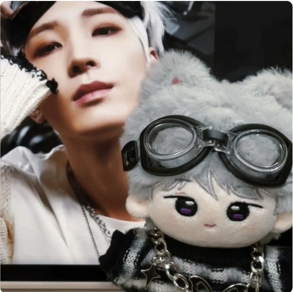 画像1: 【10cmdoll】 SEVENTEEN ウォヌ ぬいぐるみ 017 WONWOO (1)