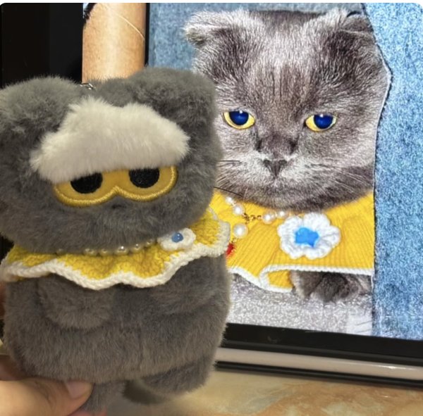 画像5: Labubu ZOA 共通 BIGBANG G-DRAGON 着用風 029 ジヨン GD (5)