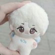 画像2: 【10cmdoll】 SEVENTEEN ジョンハン ぬいぐるみ 020 Jeonghan (2)
