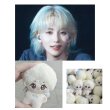 画像1: 【10cmdoll】 SEVENTEEN ジョンハン ぬいぐるみ 020 Jeonghan (1)