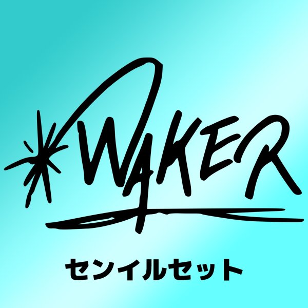 画像1: WAKER センイル/デビュー記念/来日セット クレカ風カード (1)
